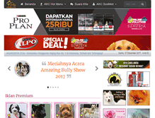 Tablet Screenshot of anjingkita.com
